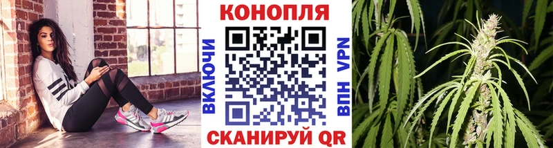 цена наркотик  Адыгейск  Бошки Шишки план 